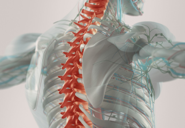 How Physical Therapy Can Help Your Posture