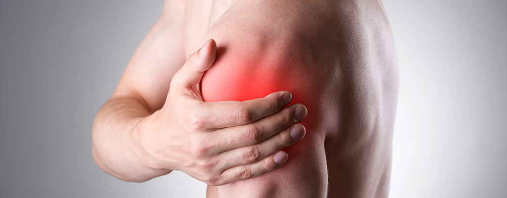 shoulder joint